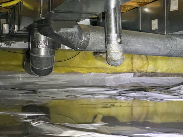 Best Mold removal after water damage  in Windermere, FL