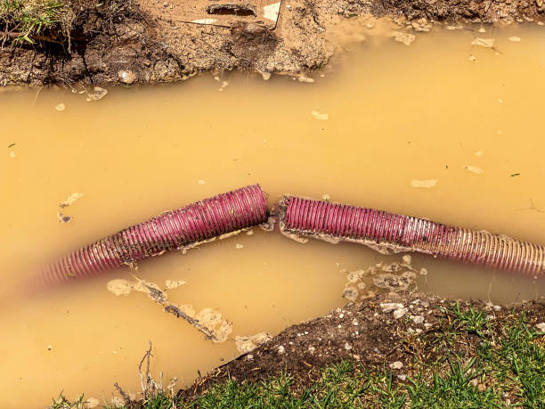 Professional Water damage restoration in Windermere, FL